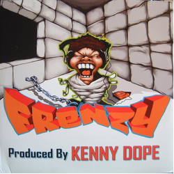 Kenny "Dope" Gonzalez Frenzy Vinyl 12" USED
