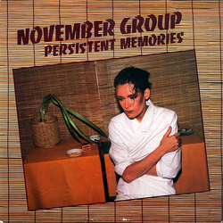 November Group Persistent Memories Vinyl 12" USED