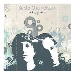 Secta Chameleon Try Vinyl 12" USED