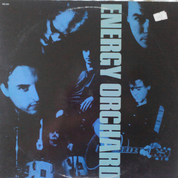 Energy Orchard Energy Orchard Vinyl LP USED