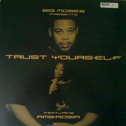 Big Moses / Ambrosia Trust Yourself Vinyl 12" USED