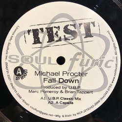 Michael Procter Fall Down Vinyl 12" USED