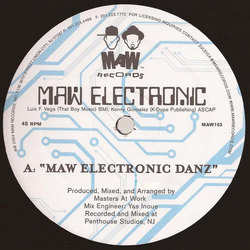 MAW Electronic MAW Electronic Danz / Time Travelers Vinyl 12" USED