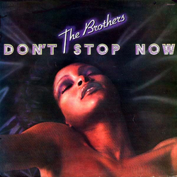 The Brothers Don't Stop Now Vinyl LP USED