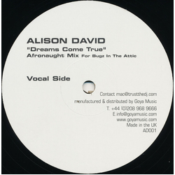 Alison David Dreams Come True (Afronaught Mix) Vinyl 12" USED