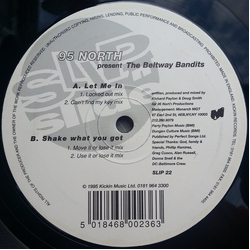 95 North / The Beltway Bandits Let Me In Vinyl 12" USED