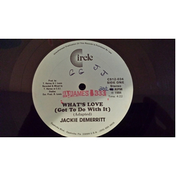 Jackie Demerritt What's Love (Got To Do With It) Vinyl 12" USED
