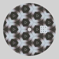 Dustmite (2) Interlacing Vinyl 12" USED