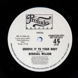 Michael Wilson Groove It To Your Body Vinyl 12" USED