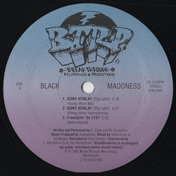 Black Maddness Igpay Atinlay Vinyl 12" USED