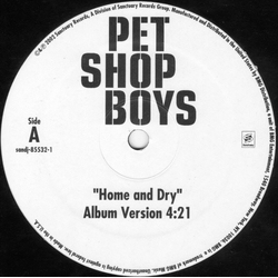 Pet Shop Boys Home And Dry Vinyl 12" USED