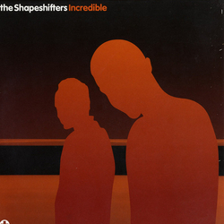 Shapeshifters Incredible Vinyl 12" USED