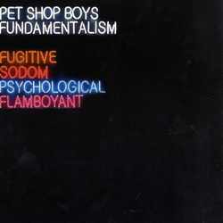Pet Shop Boys Fundamentalism (Part 1) Vinyl 12" USED