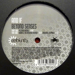 And If Beyond Senses Vinyl 12" USED