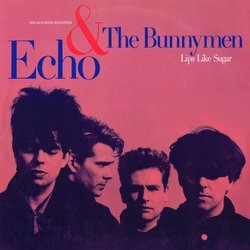 Echo & The Bunnymen Lips Like Sugar Vinyl 12" USED