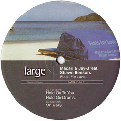 Jay-J & Macari / Shawn Benson Fools For Love Vinyl 12" USED