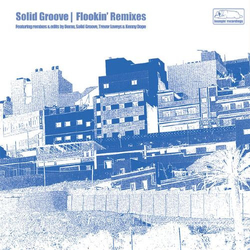 Solid Groove Flookin' (Remixes) Vinyl 12" USED