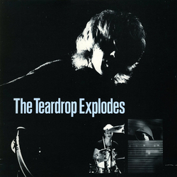 The Teardrop Explodes You Disappear From View Vinyl 12" USED