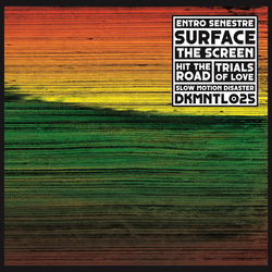 Entro Senestre Surface Vinyl 12" USED