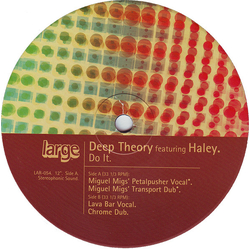 Deep Theory / Haley Do It Vinyl 12" USED