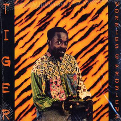 Tiger Worries & Problems Vinyl LP USED