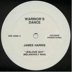 James Harris Jealous Guy Vinyl 12" USED