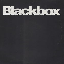 Black Box Not Anyone Vinyl 12" USED
