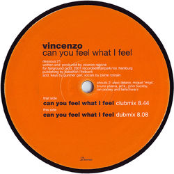 Vincenzo Can You Feel What I Feel Vinyl 12" USED