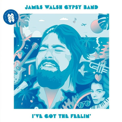 James Walsh Gypsy Band I've Got The Feelin' Vinyl LP USED