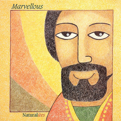 Natural Ites / The Realistics Marvellous Vinyl LP USED