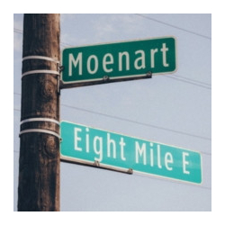 Tall Black Guy 8 Miles To Moenart Vinyl LP USED