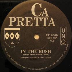 Vincent Capretta In The Bush Vinyl 12" USED