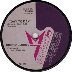 The Rockin' Berries Day To Day Vinyl 7" USED