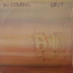 Billy T No Definitions Vinyl LP USED