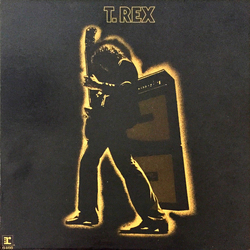 T. Rex Electric Warrior Vinyl LP USED