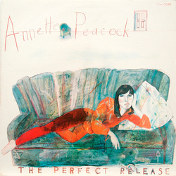 Annette Peacock The Perfect Release Vinyl LP USED