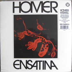 Homer Steinweiss Ensatina Vinyl LP USED