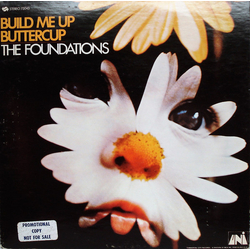 The Foundations Build Me Up Buttercup Vinyl LP USED