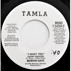 Marvin Gaye I Want You Vinyl 7" USED