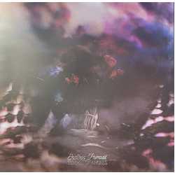 Temple Of Angels Endless Pursuit Vinyl LP USED