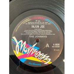 The Johnnys Injun Joe Vinyl 7" USED