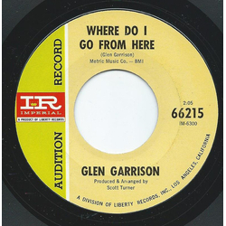 Glen Garrison Where Do I Go From Here / Strong And Handsome, Sweet And Simple Side Of Me Vinyl 7" USED