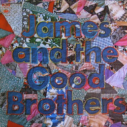 James And The Good Brothers James And The Good Brothers Vinyl LP USED