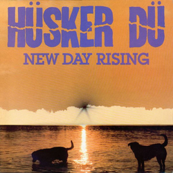 Hüsker Dü New Day Rising Vinyl LP USED
