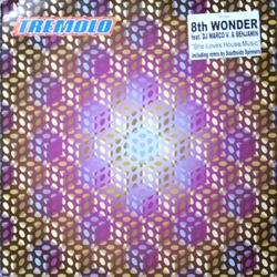 8th Wonder / Marco V & Benjamin She Loves House Music Vinyl 12" USED