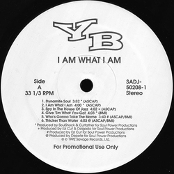 YB I Am What I Am Vinyl LP USED