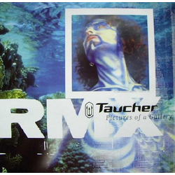 Taucher Pictures Of A Gallery (Remix) Vinyl 12" USED