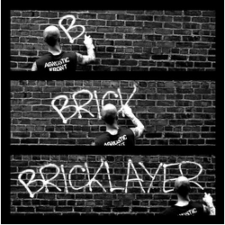 Bricklayer (2) The Wall Vinyl LP USED