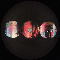 Gjidoda Music Mute City Vinyl 12" USED