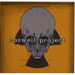 Roswell Project Maggots + Lies = You Vinyl 7" USED